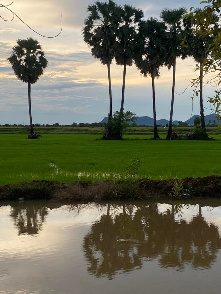 Battambang Village Landscape