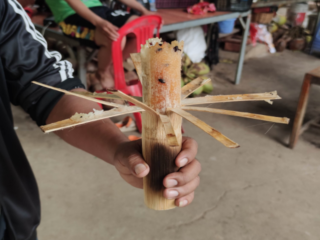 Holding Bamboo Sticky Rice