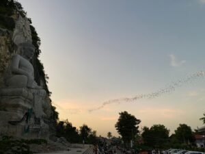 Bats Emerge from Cave